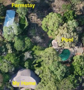 an aerial view of a yard with a pond and trees at Kruger Park Farmstay near Orpen Gate in Hoedspruit