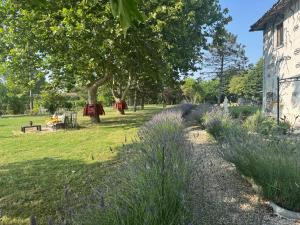 a garden with purple flowers next to a building at Paciu Maison in Ozzano dell Emilia