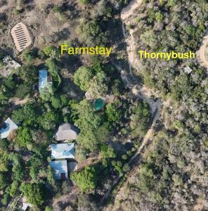 an aerial view of a forest with a house at Kruger Park Farmstay near Orpen Gate in Hoedspruit