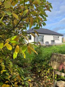 a house with a tree and a bench in a yard at La Maison 91 in Croix-en-Ternoise