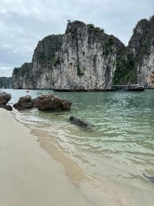 Příroda nedaleko ubytování na lodi