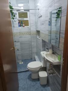a bathroom with a toilet and a sink at 1 bedroom BNB Meru in Meru +6 photos