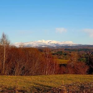 a field with trees and snow covered mountains in the background at Au petit Suquet in Andregeat