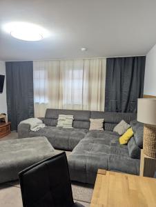 Una sala de estar con un sofá gris y una mesa. en Meet & Greet am Radfernweg E-Bike modern, en Erfurt