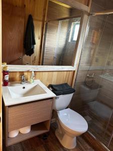 Vannituba majutusasutuses Cabañas Prado Verde, Llifén +44 fotot