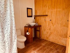 a bathroom with a white toilet and a sink at Casa con vista a los volcanes y Lago Llanquihue in Puerto Varas