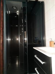 a shower with a glass door in a bathroom at Mario's fachwerkhaus am Huy in Schlanstedt +39 photos