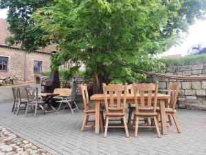 a wooden table and chairs under a tree at Mario's fachwerkhaus am Huy in Schlanstedt