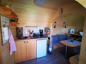 eine Küche und ein Wohnzimmer in einem Minihaus in der Unterkunft Igluhut in Wilhelminenthal