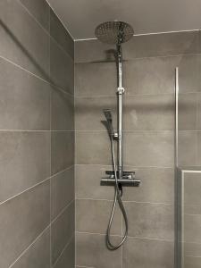 a shower with a shower head in a bathroom at Maison de la Fontaine in Hierges