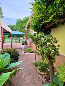 Κήπος έξω από το Meadway Cosy retreat for 2