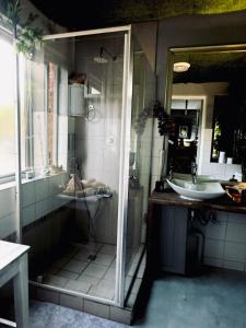 a bathroom with a shower and a sink at Soul Oasis Urban Retreat in Centurion
