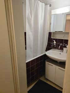 a bathroom with a sink and a mirror at Central studio apartment stgallen gratis Parkplatz in St. Gallen