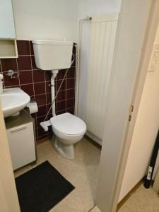 a bathroom with a toilet and a sink at Central studio apartment stgallen gratis Parkplatz in St. Gallen
