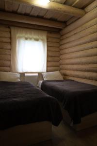 une chambre avec deux lits et une fenêtre dans l'établissement Садиба Bokoras, à Vyshka
