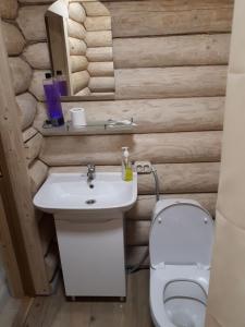 une salle de bain avec un lavabo blanc et des toilettes dans l'établissement Садиба Bokoras, à Vyshka 3 autres photos