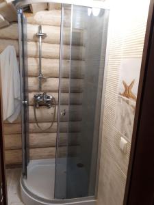 une douche avec une porte vitrée dans une salle de bain dans l'établissement Садиба Bokoras, à Vyshka