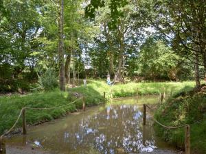 a creek with a rope bridge in a park at Cider House in Launceston