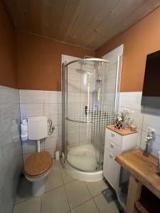 een badkamer met douche, toilet en wastafel bij Plitvice Waterfall Millhouse Challet Stipanov Mlin in Plitvička Jezera +21 foto's