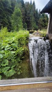 Фотография из галереи Plitvice Waterfall Millhouse Challet Stipanov Mlin в городе Плитвицкие озера +21 фотография