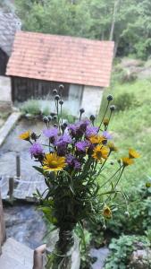 Фотография из галереи Plitvice Waterfall Millhouse Challet Stipanov Mlin в городе Плитвицкие озера