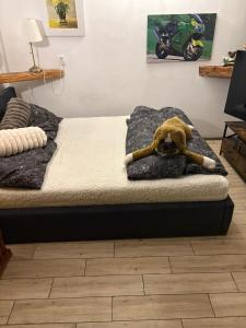 Χώρος καθιστικού στο apartman u Al Muchy