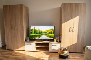 ein Wohnzimmer mit einem Flachbild-TV in einem Schrank in der Unterkunft Ruhiges 5-Personen Apartment mit kostenlosen Parkplätzen, Boxspringbetten, WLAN, 3x TV, vollausgestatteter Küche 