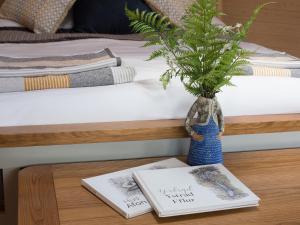 a table with a plant in a vase and two books at Dol Y Mynydd The Mountain Meadow - Cottage in Llangernyw +35 photos
