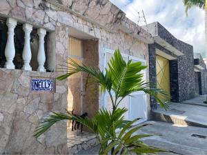 una casa con una palmera delante en Posada Estrella del alba, en Caraballeda