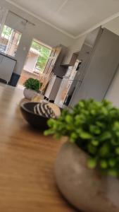 a room with two plants on a wooden floor at Nestville apartment in Solwezi