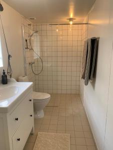 a bathroom with a shower and a toilet and a sink at Stone house with direct access to Haraldsted Lake in Ringsted