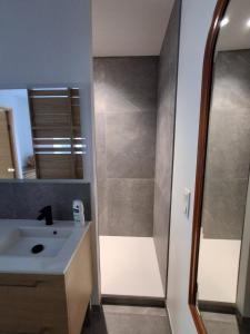 a bathroom with a shower and a sink at Gîte du Papillon CALUTRE in Carvin