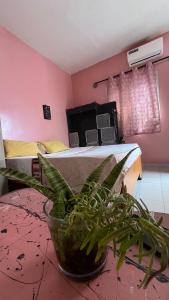 TV a/nebo společenská místnost v ubytování Tropicali ⁿᵉᵃʳ ⁿᵍᵒʳ ᵇᵉᵃᶜʰ ᵃⁿᵈ ⁱˢˡᵃⁿᵈ + 43 fotografií