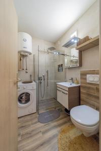 a bathroom with a toilet and a sink and a shower at Ada Home Belgrade Apartment 