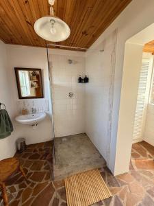 a bathroom with a shower and a sink at Seaside Garden Cottage Schoenmakerskop in Gqeberha +21 photos