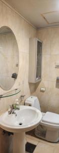 a bathroom with a sink and a toilet and a mirror at 수서역삼성병원대치동공항버스 in Seoul