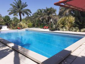 a large blue swimming pool with palm trees in the background at Cap-Sénégal in Cap Skirring