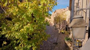 Příroda nedaleko apartmánu + 21 fotografií