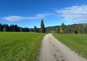a dirt road in a field with green grass at Pension Zollhaus in Oy-Mittelberg
