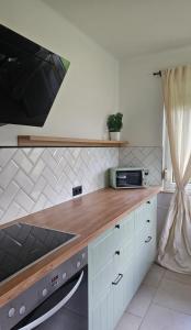 Kuchyň nebo kuchyňský kout v ubytování Ferienhaus - Hoamathaus