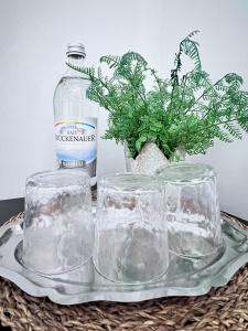 a glass tray with a bottle of water and a plant at Handwerkswohnung Nova in Oberthulba