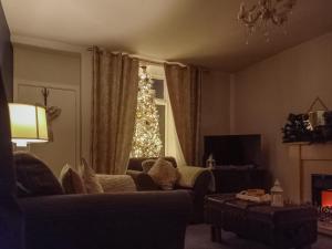 ein Wohnzimmer mit einem Weihnachtsbaum im Fenster in der Unterkunft The Saddler Cottage in East Boldon