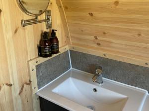 オーバンにあるMaggie's Cabinの小さな家の中のバスルーム(シンク付)