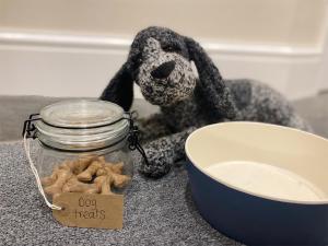 een knuffelhond zit naast een pot met hondensnoepjes bij Hollyhock in Tavistock