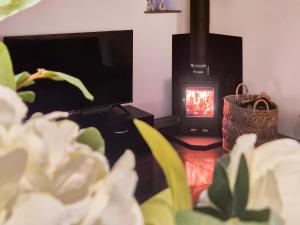 ein Wohnzimmer mit Kamin und Fernseher in der Unterkunft Oak Cottage in Abergavenny