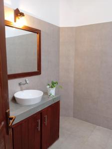 une salle de bain avec un lavabo et un miroir dans l'établissement Paddi Breeze Cottage - Yala Safari, à Lukasgoda 1 autre photo