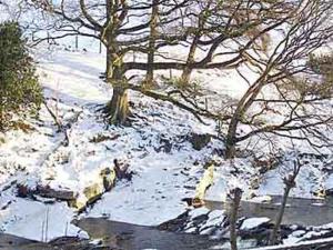 a snow covered ground with a tree and a sidewalk at 2 Farfield Cottages in Sedbergh