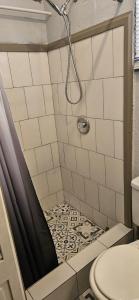 a small bathroom with a shower with a toilet at Gloria's mini hideaway in Christ Church +15 photos