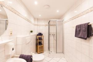 a bathroom with a shower and a toilet at Inselglück App 2 in Norderney