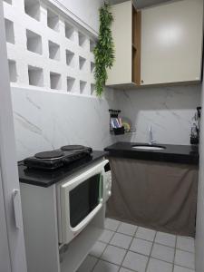 eine kleine Küche mit Herd und Spüle in der Unterkunft No coração da Praia do Frances in Marechal Deodoro + 8 Fotos